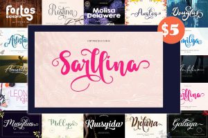 Bundles Creative Fonts for New Projects
