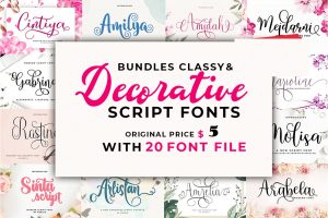 Bundles Classy & Decorative Script Fonts