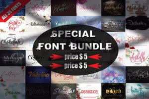 Special Font Bundle
