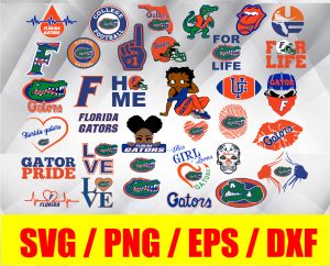Florida Gators, Florida Gators svg, bundle logo, svg, png, eps, dxf, NCAA logo